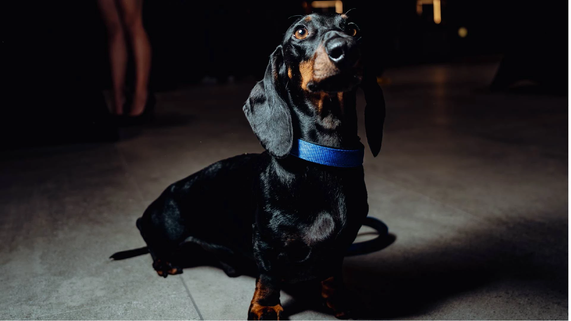 Cupra Night Ottobre18 50 (1)