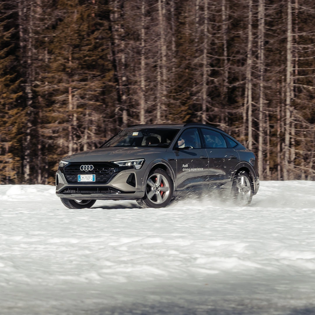 Audi Evento Cortina 08