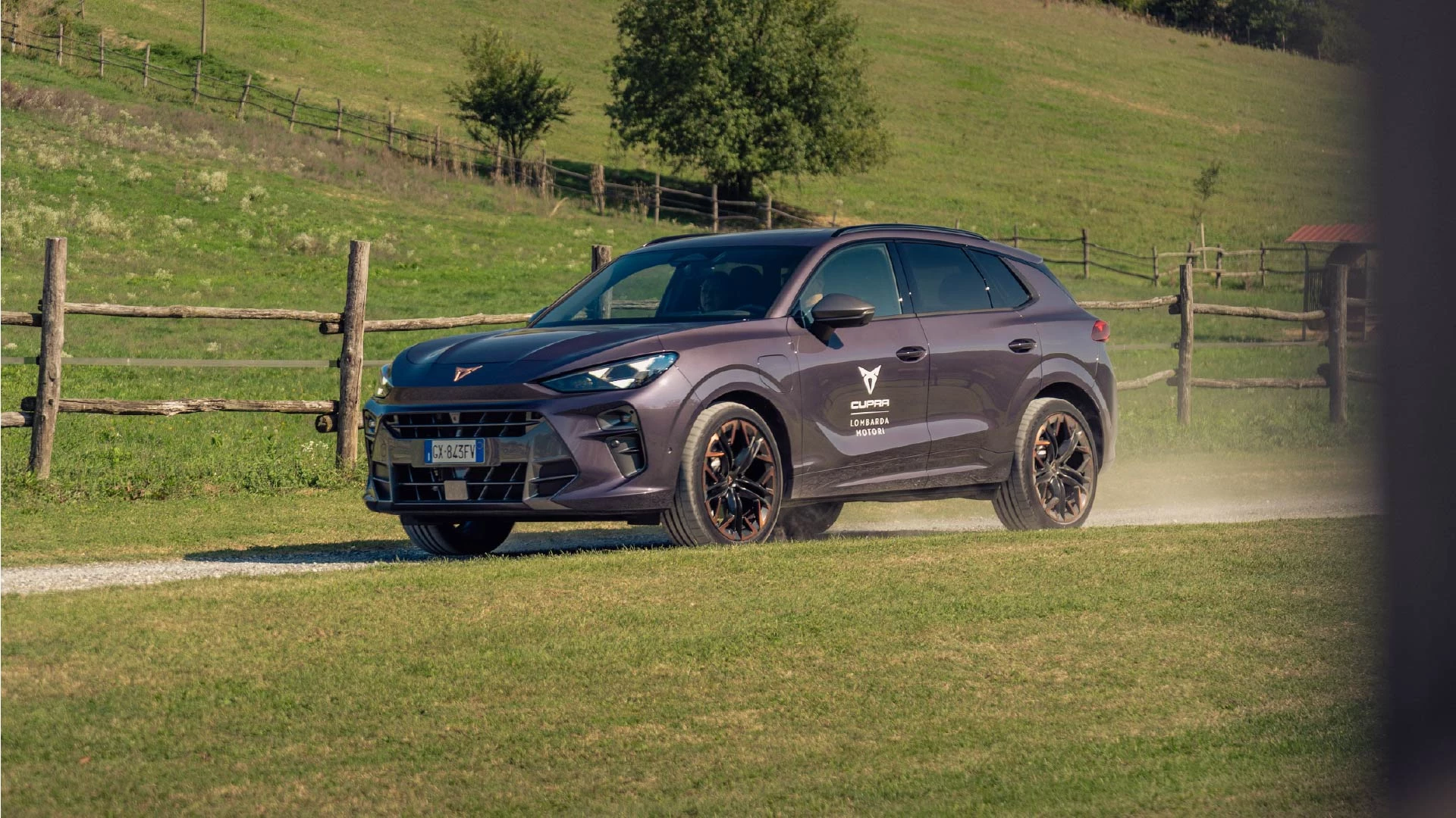 Business Driving Experience4 50