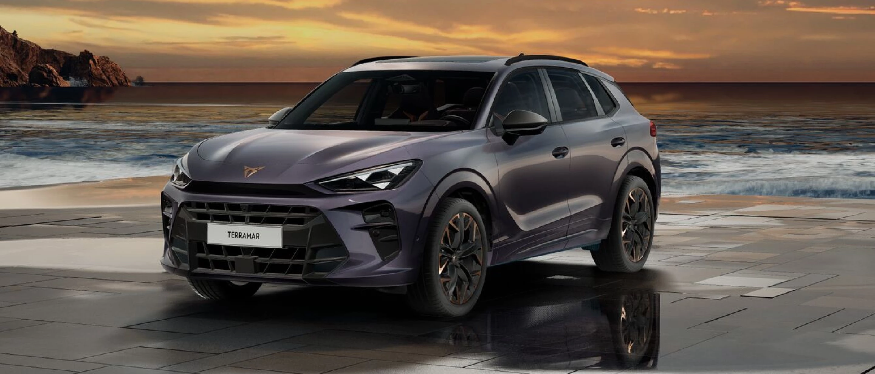 Sitoweb Banner Veicolo Desktop Terramar