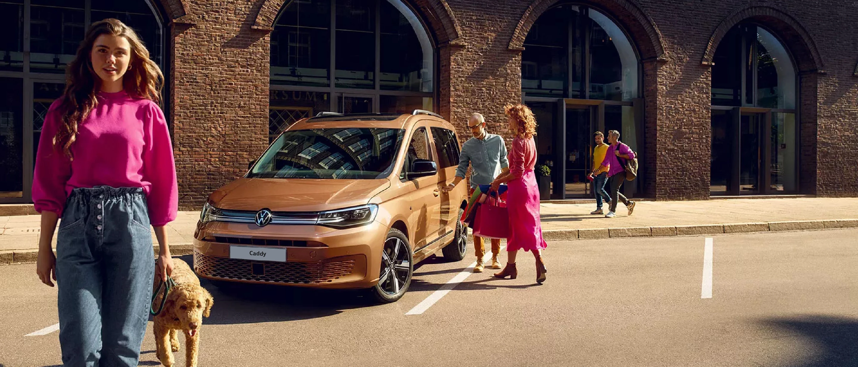 Sitoweb Banner Veicolo Desktop Caddy