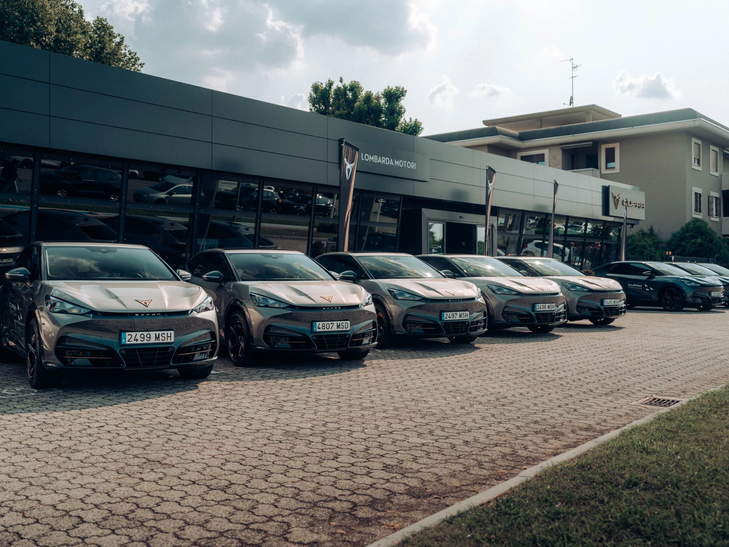 IMM LISTA TAVASCAN EXPERIENCE 50