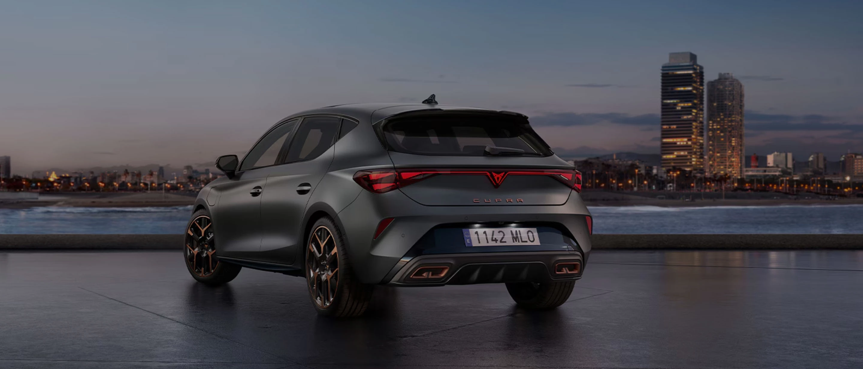 Promozione Nuova Leon Banner