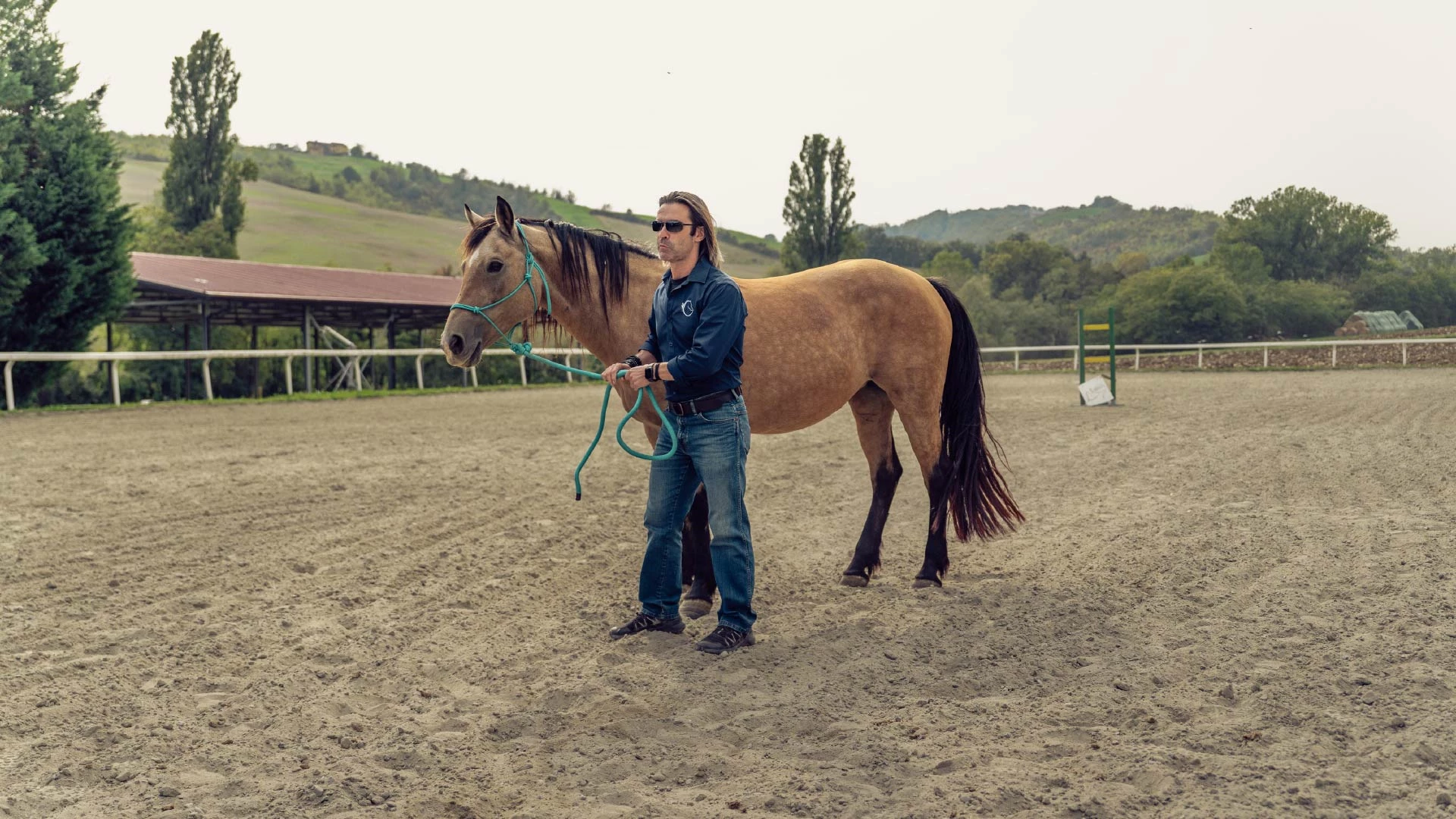 Business Driving Experience 16 50