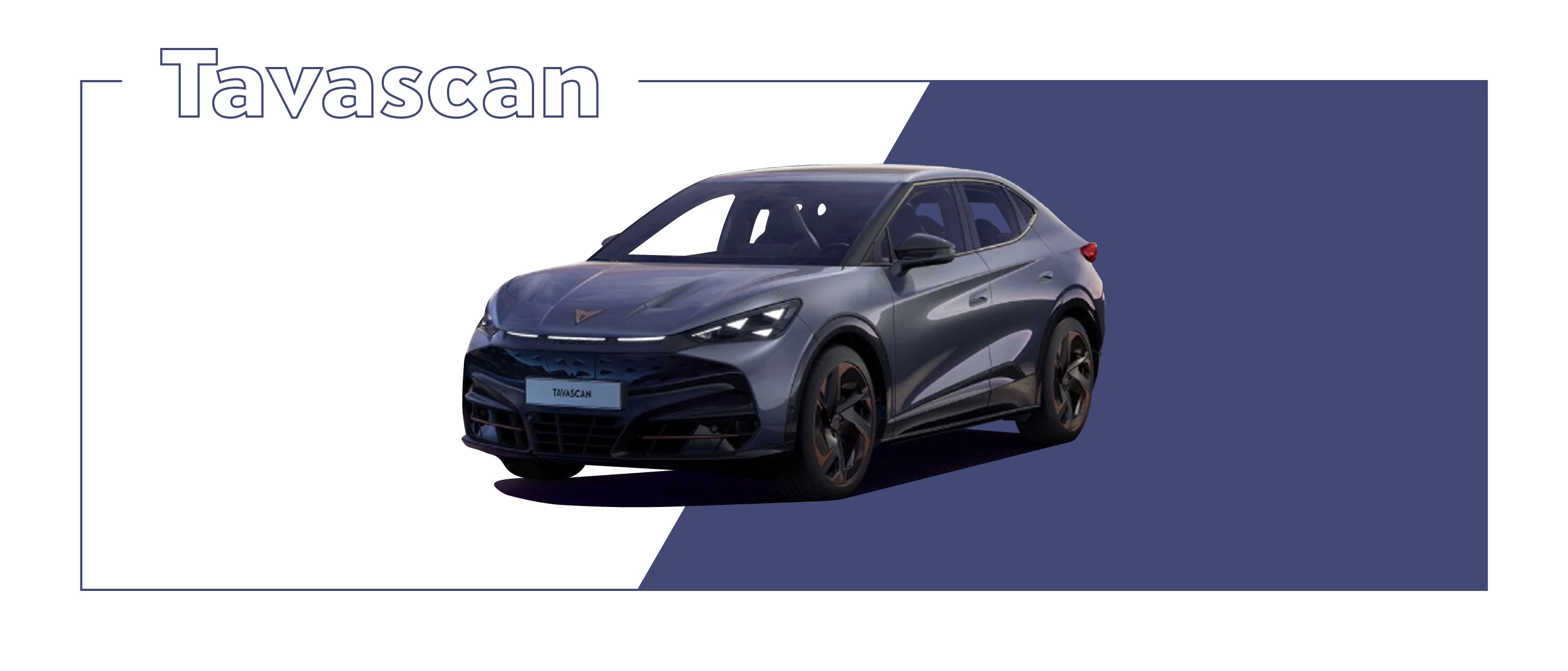 Sitoweb Promozioni Banner Tavascan